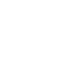 Icon Poolbau